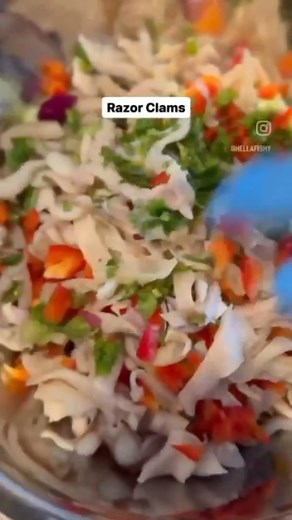 15 reactions | Doesn't this look amazing?! Razor clam ceviche. Chopped peppers, chopped onions, chopped cilantro, fresh squeezed lime juice and of course chopped razor clams. The citrus actually cooks the clam. Perhaps you should try this on your next trip to the coast!  @hellafishy thank you for the video and recipe #recipe #razorclams #clamming #ceviche | Outdoor Emporium | Facebook