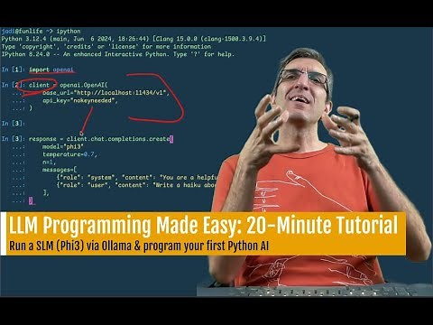 LLM Programming Made Easy: 20 Min tutorial on starting your local SLM openai compatible project