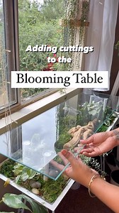 18K views · 5.3K reactions | Happy Saturday! I changed my mind  I...