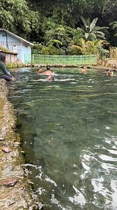32K views · 828 reactions | Free village getaway: swimming in crystal-clear spring water #fblifestyle | Pelosok Desaku | Facebook