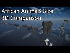 African Animals Size Comparison