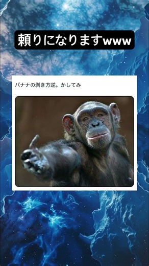 バナナの剥き方www#shorts #猿 #面白い #バナナ #頼れるアニキ