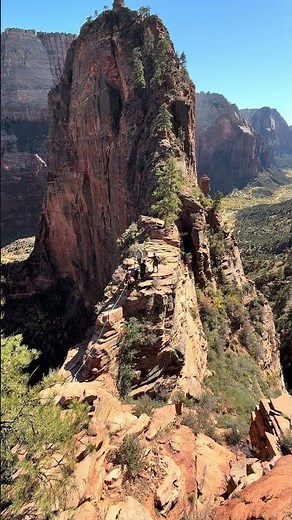 Angels Landing Extreme Exposure & Wild Views #Adventure