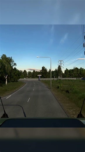 Immersive ETS2 truck drive 🚛 Logitech G29 setup #ets2 #trucksim #simracing #shorts