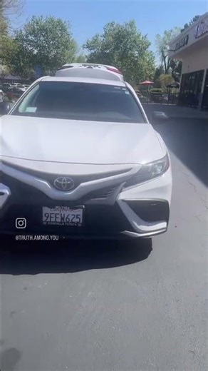 COINTELPRO ( proxy stalking ) open trunk street theater covert harassment