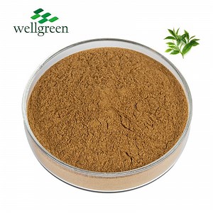 [Hot Item] Organic Green Tea Supplement Original Leaf Extract Powder 90% EGCG Powder