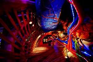 The “Human Body” Museum – Το ελληνικό μουσείο που σε «ταξιδεύει» στη μαγεία του ανθρώπινου σώματος (φώτο-βίντεο)