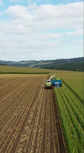 Giant Tractor Harvesting Crops Powerful Farming Machines in Action #TractorHarvest #Agriculture