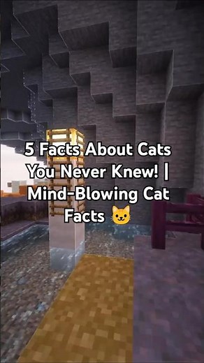 5 Facts About Cats You Never Knew! | Mind-Blowing Cat Facts 🐱