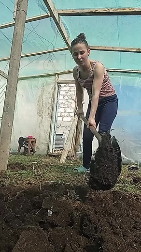 #nu au bani da dau de lucru😅😅#primavara😁mea😅incepe😁cu😁tine😅#seră#lucru😁😁