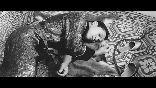 THE EMBRYO HUNTS IN SECRET (Wakamatsu Kōji, 1966)