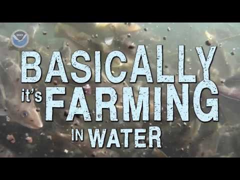 Aquaculture