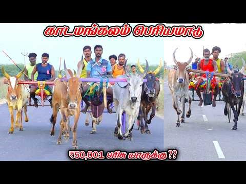 6காடமங்கலம்-பெரியமாடு-பந்தயம்_22.02.2026_V_Photography