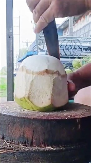 technique for separating the coconut kernel from the skin #technique #separating #coconut #kernel