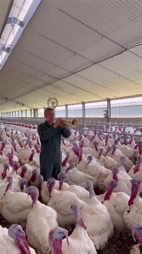 Vector Vectory (@vector.vectory)’s videos with original sound - Vector Vectory