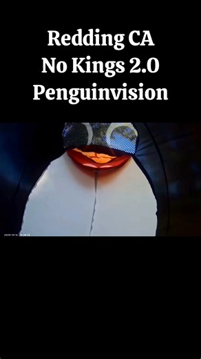 Today was the largest mobilization of democracy-loving Patriots that has ever happened in American history, and Redding California showed the FUCK UP! Good luck trying to prosecute us all as "terrorists" Shasta County. 🚫👑🐧🐧 I would like to share with you all the local protests in Penguinvision™. #NoKings MeidasTouch | Redding Be Like