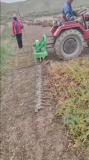 Clearing a Field for Planting.