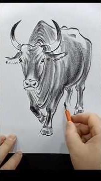 how to draw a bull🐂 tutorials#drawingtutorial#pencildrawing #sketch #artist