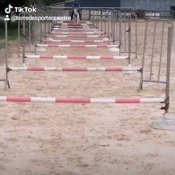 Les cavaliers de CSO après le confinement 😂 #cheval #equitation #jumping