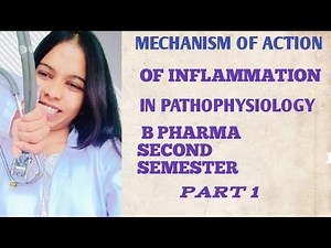 🧠 Inflammation Mechanism Step by Step | Pathophysiology B Pharma 4 Semester Part 1