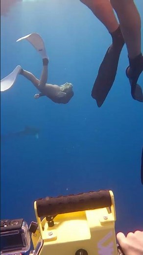 the girls were nervous at first but then they had so much fun swimming with the sharks