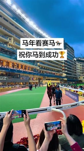 总要看一场香港赛马吧，2月25日香港跑马地赛马场#香港 #旅游 #赛马 #香港赛马