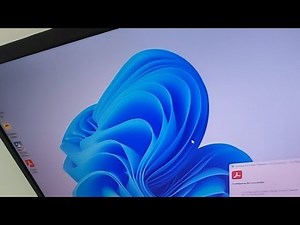 Programas Básicos para Windows 11 (Live)