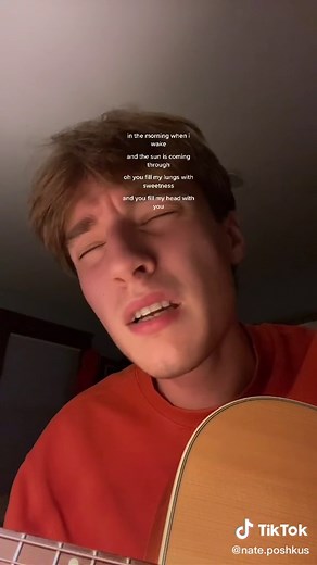 Bloom - The Paper Kites | Meaning and Interpretation