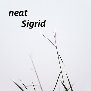 Sigrid Concert & Tour History (Updated for 2026) | Concert Archives