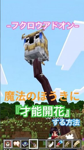 【マイクラ アドオン情報】かわいいだけじゃない？フクロウの装備を追加して、さらに便利な『フクロウアドオン』を検証してみよう // Owls Add-On #shorts