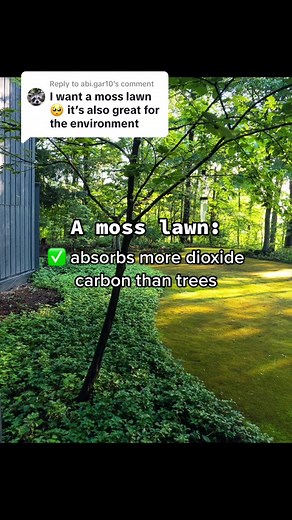 Moss Lawns: The Eco-Friendly Alternative for Your Garden