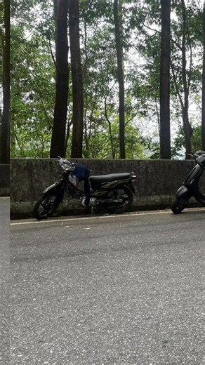 Traditional Craft: The Art of Sari Draping