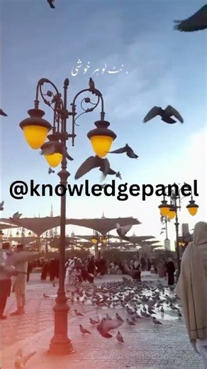 Naat For Ramzan🕋🤲🏻💯🕌🌙 #youtube #youtubeshorts #ytshorts #trendingnaatforramzan #knowledgepanel