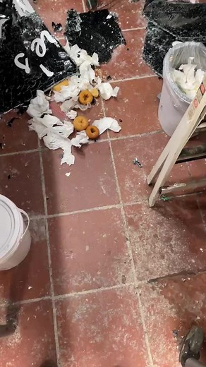 A downtown Tulsa donut shop was vandalized overnight. This is what the owner walked into this morning. bit.ly/3SpRpJ0 | FOX23 News