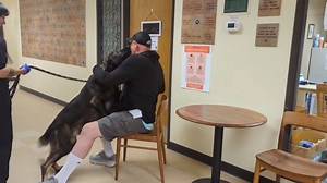 28K views · 680 reactions | After a long time apart, this heartwarming reunion reminds us of the unbreakable bond between a dog and their human. Watch as this pup's pure joy and excitement light up the moment ❤️ We are so blessed to be able to facilitate and witness this sweet reunion. #Reunited #DogLove #Heartwarming | Humane Society of Skagit Valley | Facebook
