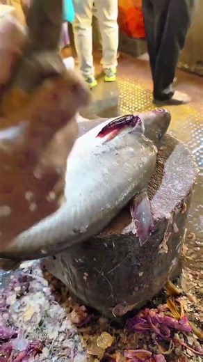 #fishcutting नरवा के मछली मार्केट में मछली के लिए होगा #fbreels #fish