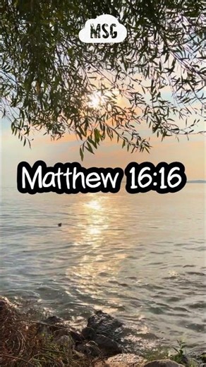 A Bible verse about Jesus Christ ✝️ Matthew 16:16