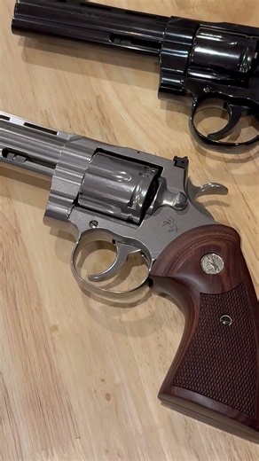 Which Python do you like? IMG 1602