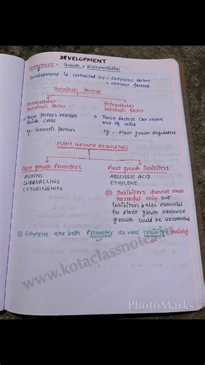 31 reactions · 15 shares | Kota’s top plant physiology teachers classroom notes — COMPLETE (AUXIN) - NEET | KOTA CLASSNOTES | Facebook