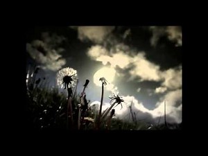 Death and Existentialism - Irvin Yalom interview