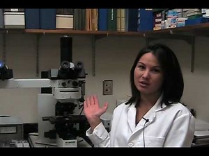 Fluorescence Microscope by Sarah