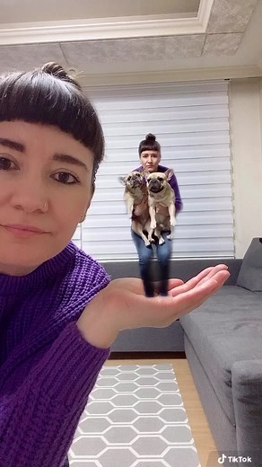 Did you see the kiss at the end? #minime #dogsotiktok #frenchbulldog #frenchie #미니생각의자