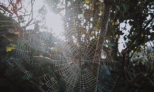 Why Systems Thinking is so Important in the Circular Economy