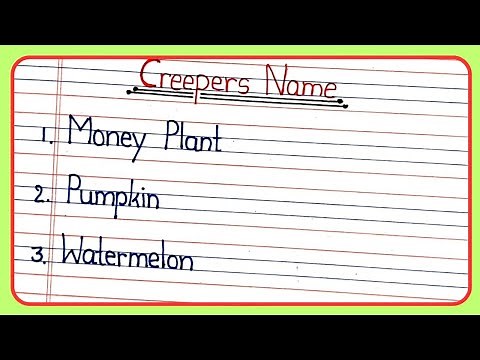 Creepers Name | What are the Names of Creepers? Creepers Name in English