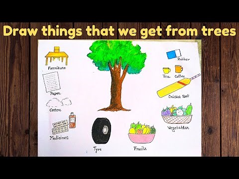 Draw things that we get from trees ll how to draw things that tree gives us ll we get from plants ll