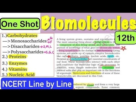 🔥 Biomolecules Class 12 | One Shot Revision | NCERT Line by Line Explanation PART 1
