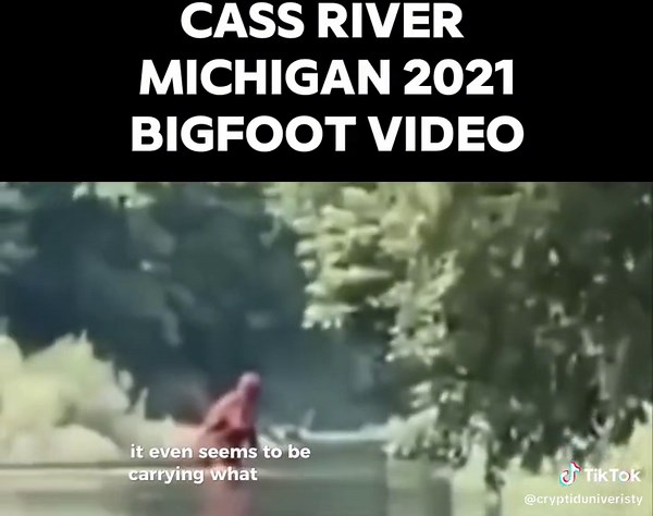 Sasquatch Sighting in Michigan River - Cryptid University