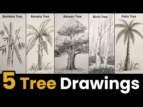 5 Tree Drawing Step By Step with Graphite Pencil Shading