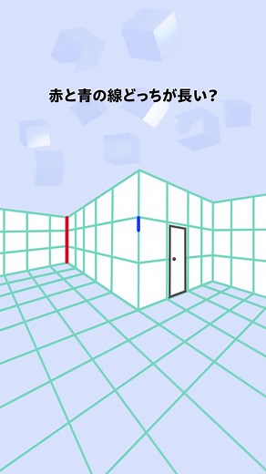 線の長さの錯覚を解明する