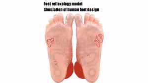 Foot Acupuncture Model, Human Feet Reflexology Acupuncture Point Massage Model Teaching Aids Lab School Supplies